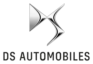 DS logo